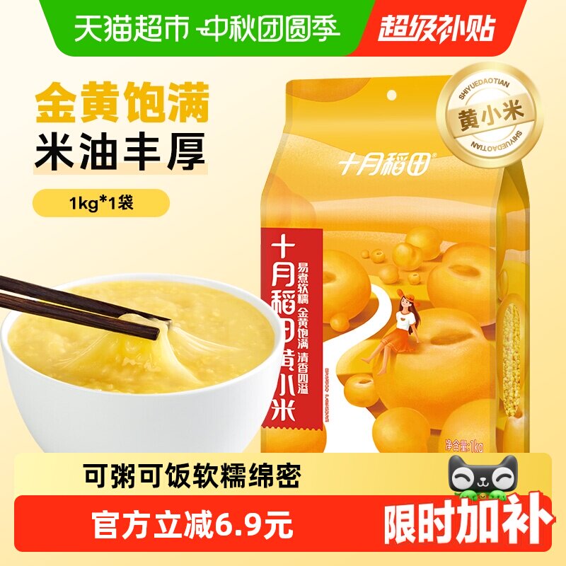 十月稻田黄小米绵密软糯图片