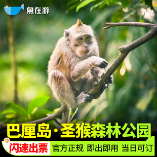 [圣猴森林公园-大门票]巴厘岛圣猴森林公园门票印度尼西亚【官方正规 闪速秒出票】