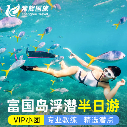 富国岛10人VIP浮潜小团半日游 3-4人专业教练酒店接送珊瑚区浮潜