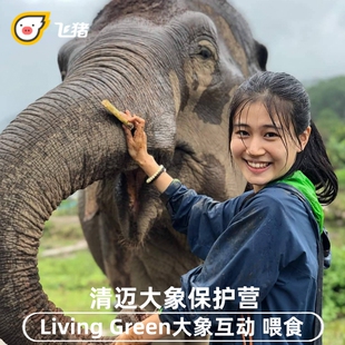 泰国清迈大象营查普林Chapulin美旺可巧KerChor丛林飞跃投喂漂流