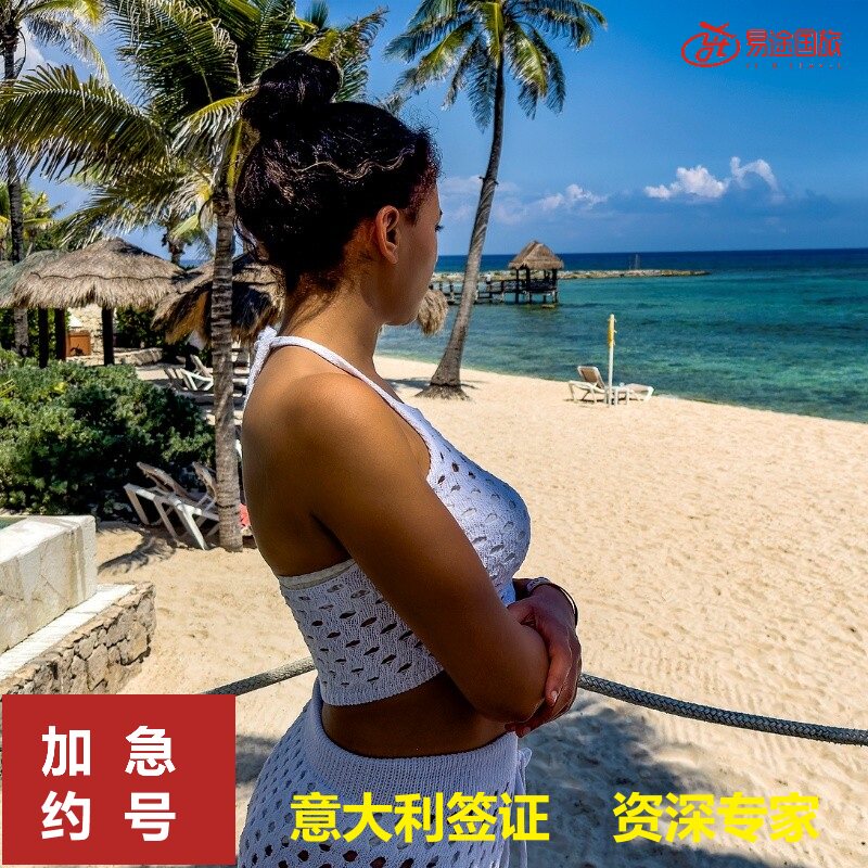 意大利·商务签证·广州送签·【展会签证】参展观展布展商务签证申根签证全国可加急预约抢号插队放号提醒
