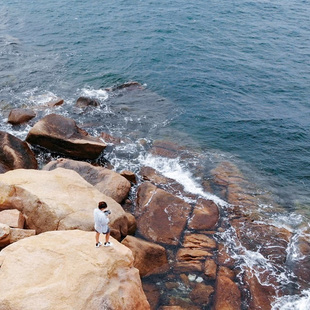 [外伶仃岛-外伶仃岛登船→香洲港单程]外伶仃岛至香洲港单程船票