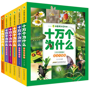 不可思议的事件薄簿第12我们的世界正版迷境秘境历险记探险解谜故事10到11册全套解密卡墨多多谜境冒险阳光板漫画第二季世界30莫末