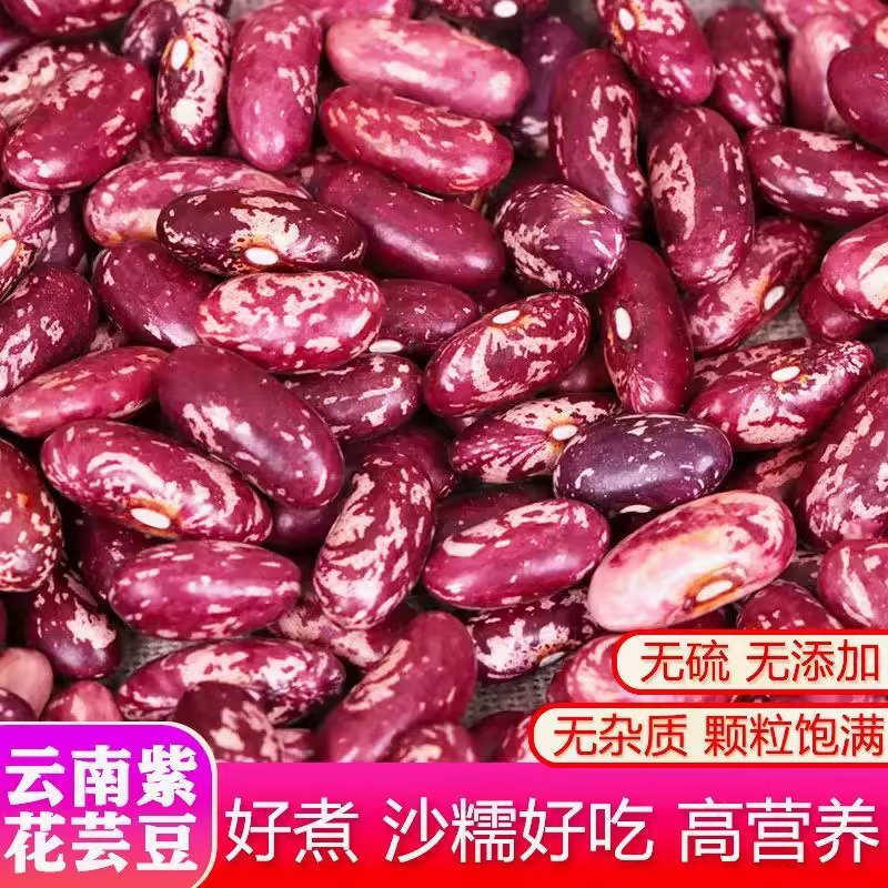 云南紫花芸豆新货农家熬煮大碴粥饭豆五谷杂粮特产新鲜豆子干货
