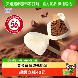 美登高网红雪糕小矮人生牛乳冰淇淋巧克力夹心雪糕儿童冰淇淋冰棍