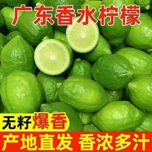 廣東香水檸檬新鮮無籽青檸檬冷飲咖啡奶茶飲品奶茶店檸檬茶專用