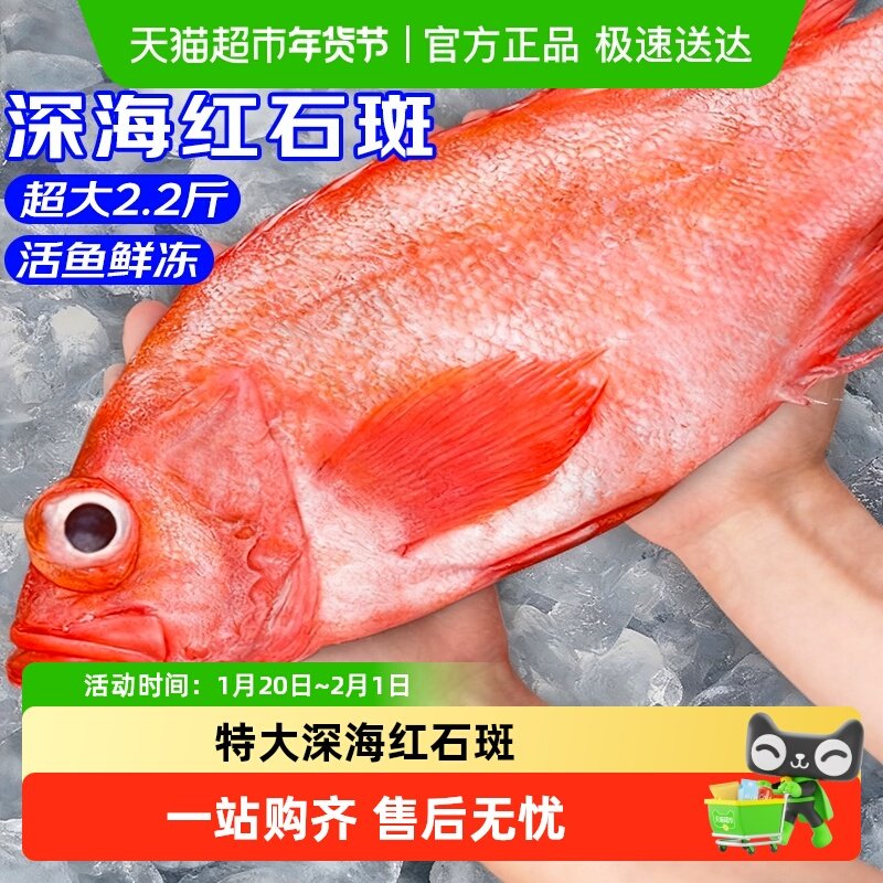 海仙部落红石斑鱼鲜活冷冻新鲜超大条深海红鱼龙胆富贵鱼,水产肉类/新鲜蔬果/熟食,淡水鱼类,淘宝优惠券,粉丝福利购,淘宝优惠卷