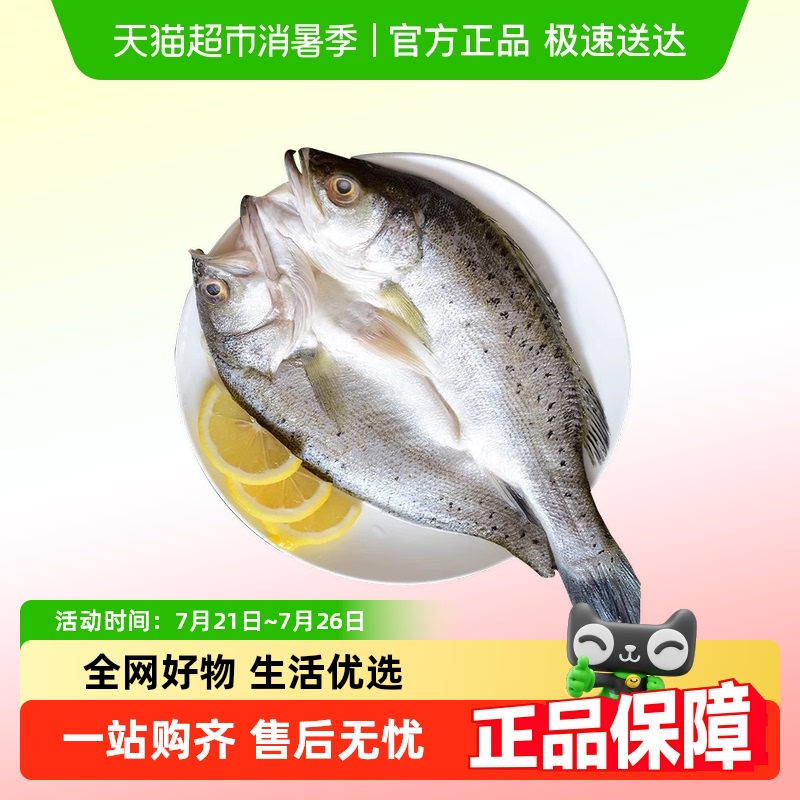 海鲈鱼开背新鲜冷冻深海