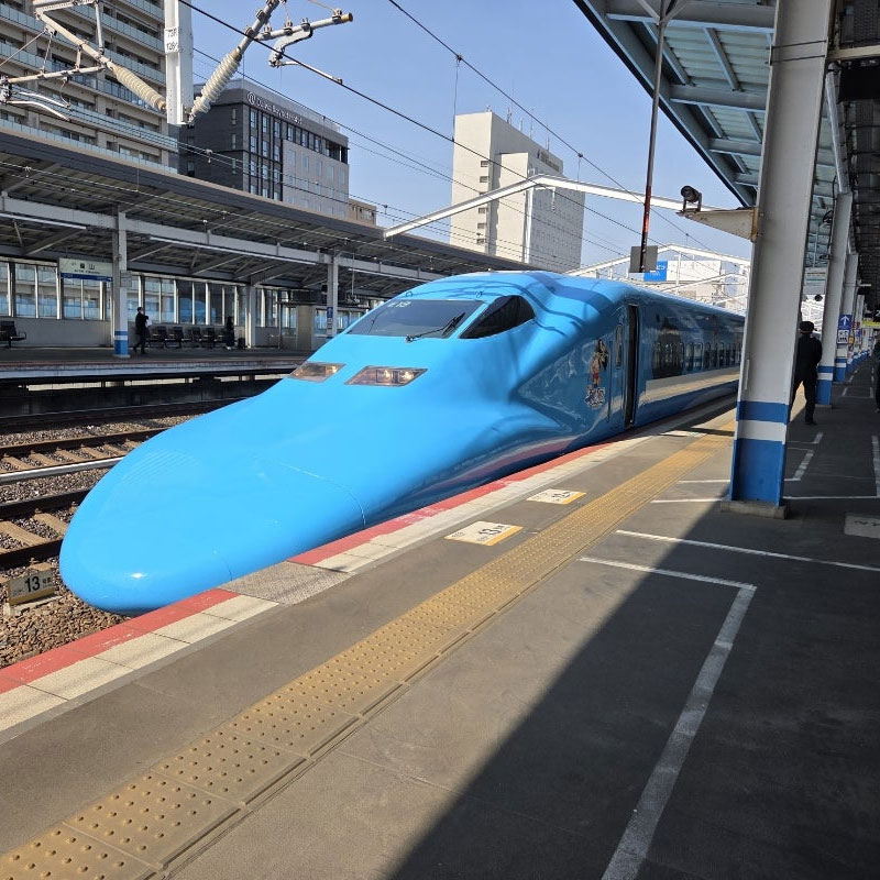电子票 无需取票 主题列车