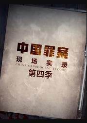 罪案现场实录第四季