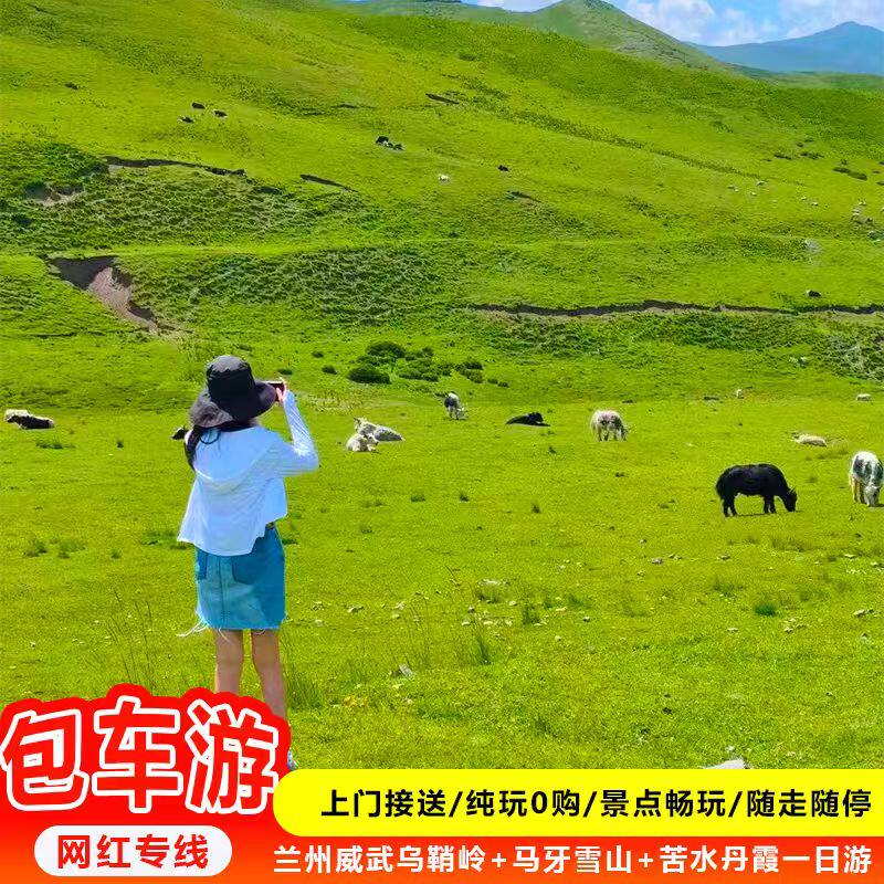 精品包车游 兰州旅游 武威乌鞘岭+马牙雪山+苦水丹霞 兰州一日游