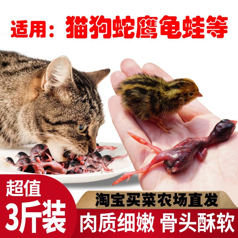 新鲜小鹌鹑肉冷冻乳嫩幼仔雏鸟现杀速冻肉类生骨肉非冻干宠物零食