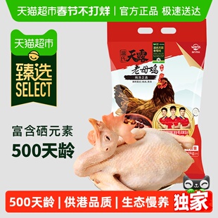 【臻选】温氏老母鸡1kg 500天龄 慢养母鸡正宗农家散养土鸡走地鸡