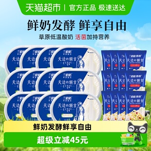 包邮 12盒低温酸牛奶顺丰 额吉原味200g 兰格格草原酸奶天边