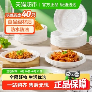 美丽雅一次性餐盘餐盒食品级露营野餐水果烧烤家用蛋糕盘子