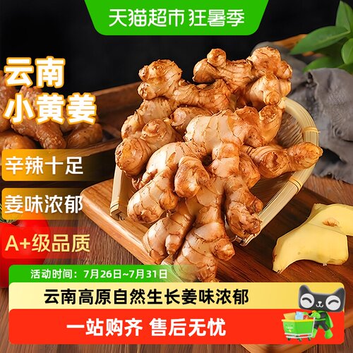 京运达红河小黄姜提鲜增香