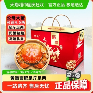 仲秋大閘蟹特大公母鮮活螃蟹足重現貨河蟹送禮盒 活蟹