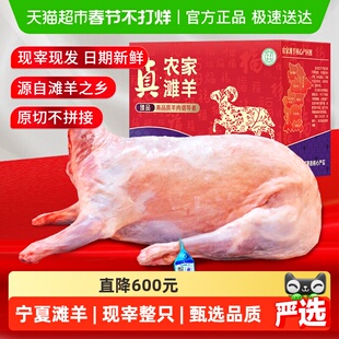 全羊整只新鲜现杀鲜切羊肉宁夏滩羊盐池羔羊腿羊排烧烤年货礼盒