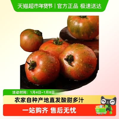 新鲜正宗丹东铁皮柿子