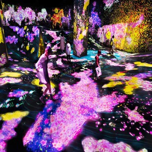 [福冈teamLab森林-大门票+原创毛巾]51227