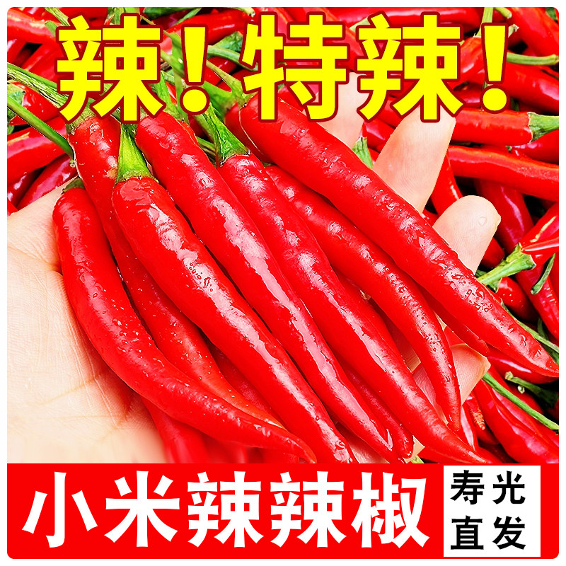 寿光新鲜小米辣椒朝天椒特辣土红辣椒指天椒产地直发