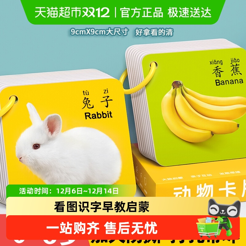 星星舟动物卡片早教认知儿童教育