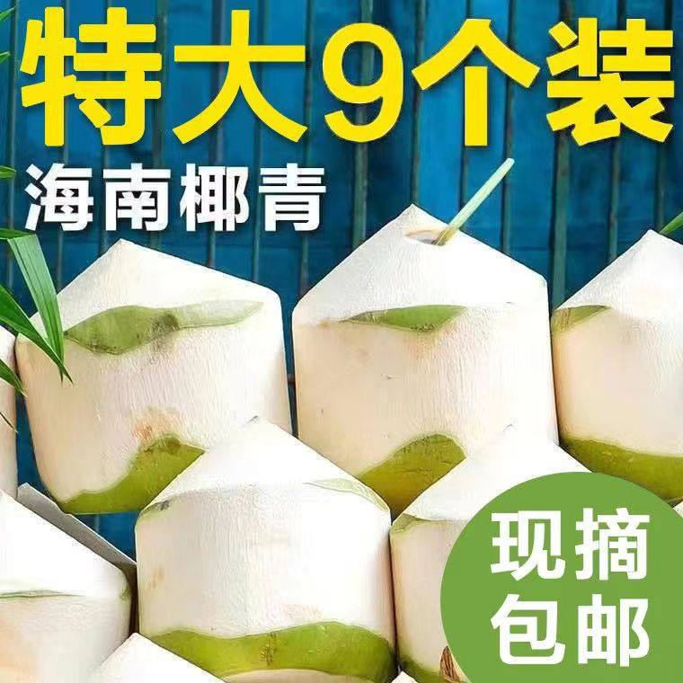 海南新鲜椰青椰子 2/4/6/9个 单果1-1.2kg,水产肉类/新鲜蔬果/熟食,椰青,淘宝优惠券,粉丝福利购,淘宝优惠卷