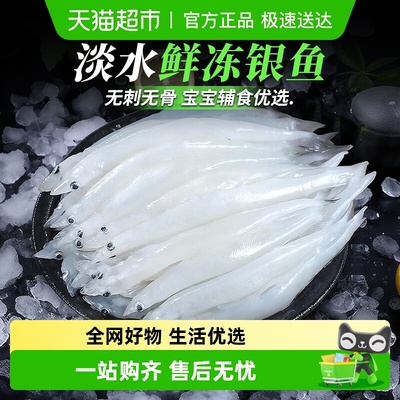 云储生活新鲜银鱼海鲜水产