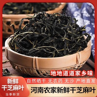 新货干芝麻叶农家晒制野菜芝麻油叶子新货河南特产芝麻叶面条干菜