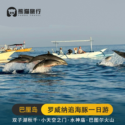 巴厘岛精品小团一日游