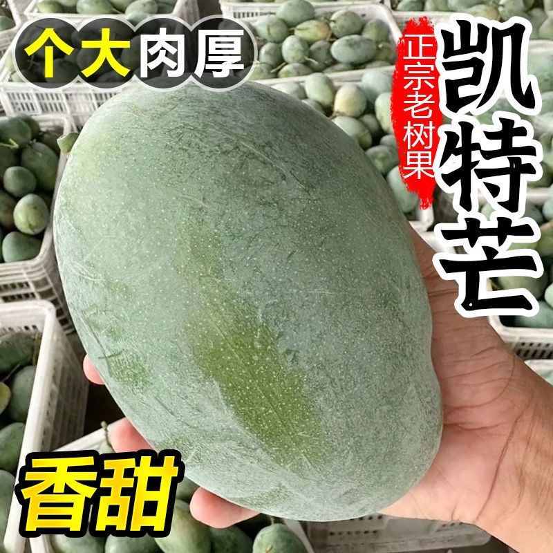攀枝花凯特芒果5斤新鲜水果当季整箱大青芒超甜青皮大澳芒果包邮