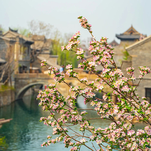 [清照泉城·明水古城-年卡]清照泉城明水古城年卡