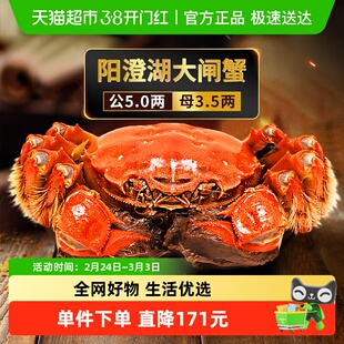 湖东蟹阳澄湖大闸蟹鲜活螃蟹公5.0两*4只母3.5*4只现货海鲜礼盒