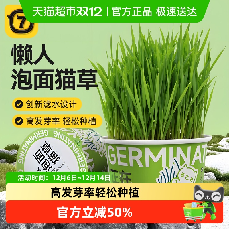 柒哦懒人自种水培猫草片猫咪零食