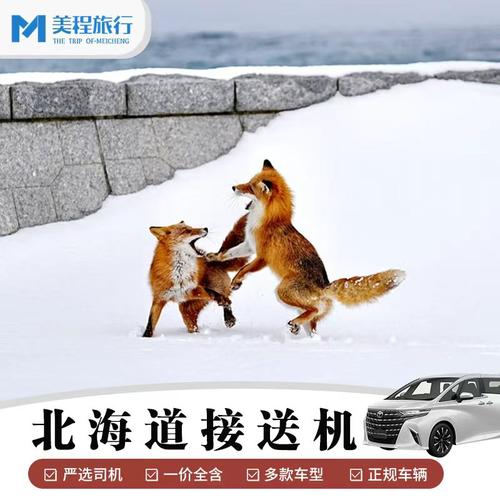 北海道机场接送中文服务