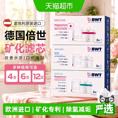 【欧洲进口】德国倍世BWT滤芯