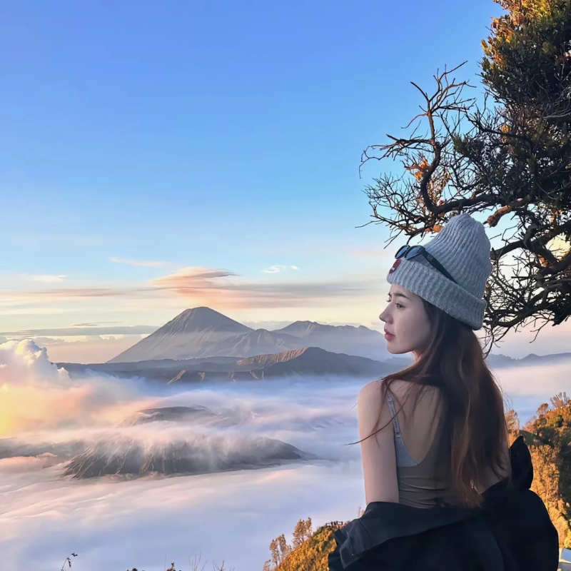 【含机票】巴厘岛旅游跟团游5-8天蓝梦岛浮潜科莫多火山追海豚