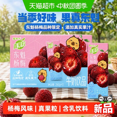 真果粒东魁杨梅250g*12包