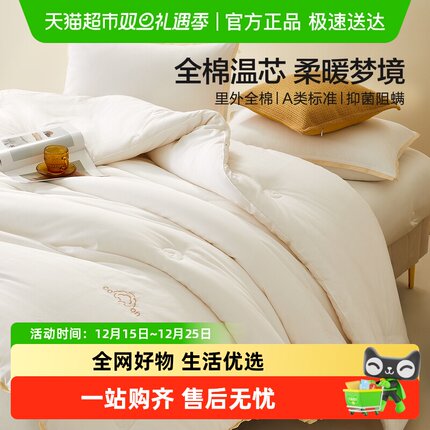 水星家纺A类全棉抗菌棉花被冬被保暖新疆棉春秋被芯被子四季床品