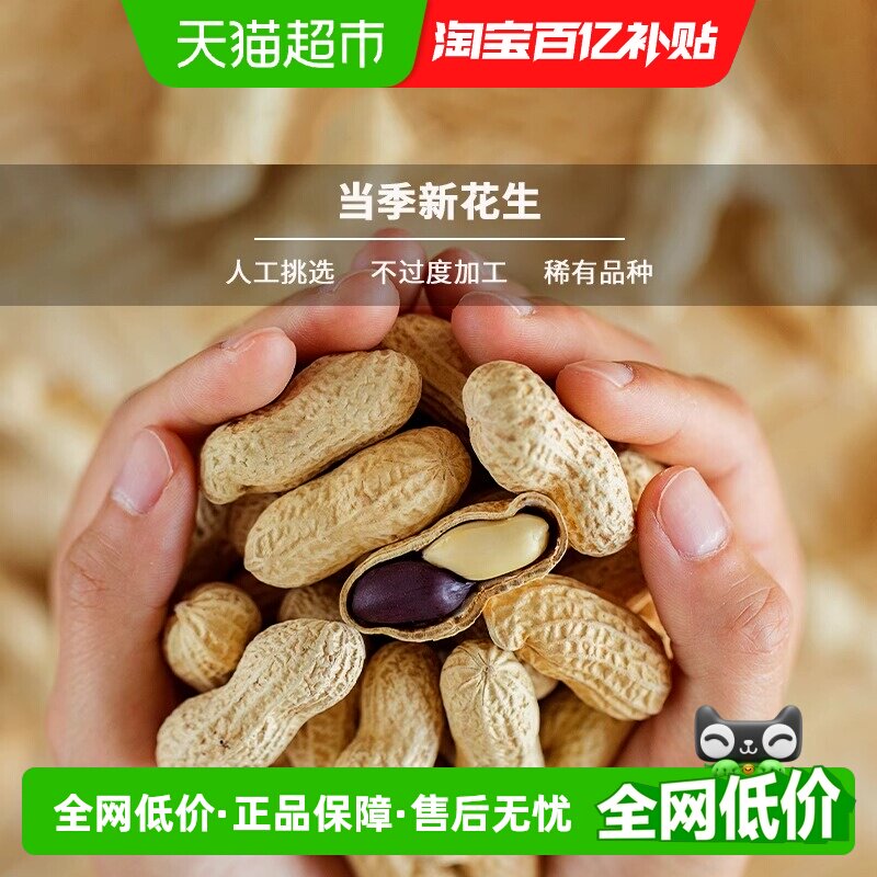黑玉珍原味红皮黑皮带壳炒熟花生山东土特产当季新货炒货健康零食