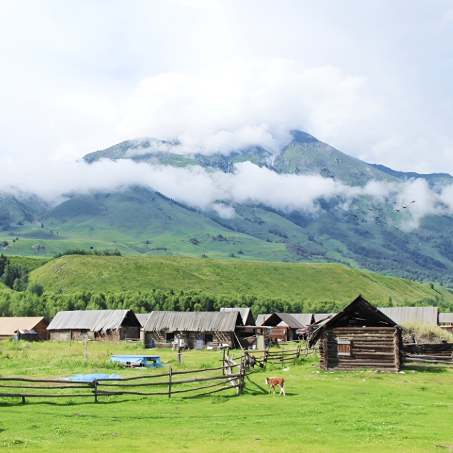 【北疆私家团】天山天池喀纳斯禾木五彩滩魔鬼城独山子大峡谷6日