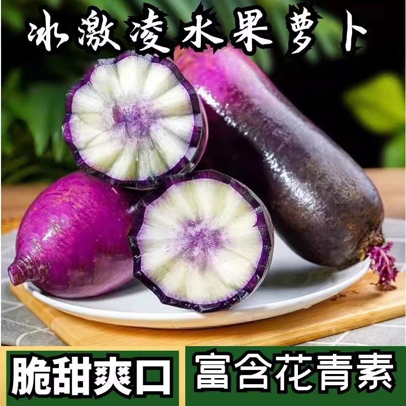 冰淇淋萝卜山东潍坊新鲜网红甜箩卜9斤农产品蔬菜冰激凌萝卜紫皮