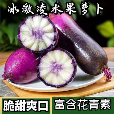 冰淇淋萝卜山东潍坊新鲜网红甜箩卜9斤农产品蔬菜冰激凌萝卜紫皮