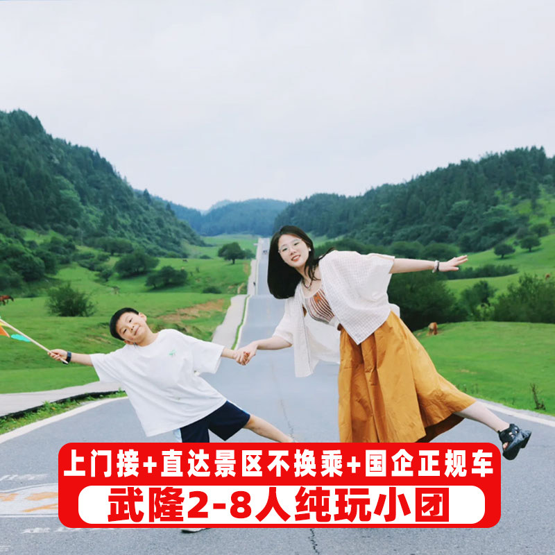 重庆武隆天生三桥一日游