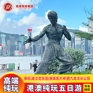 港澳旅游专车接机港澳5天4晚跟团游香港旅游迪士尼澳门旅游亲子游