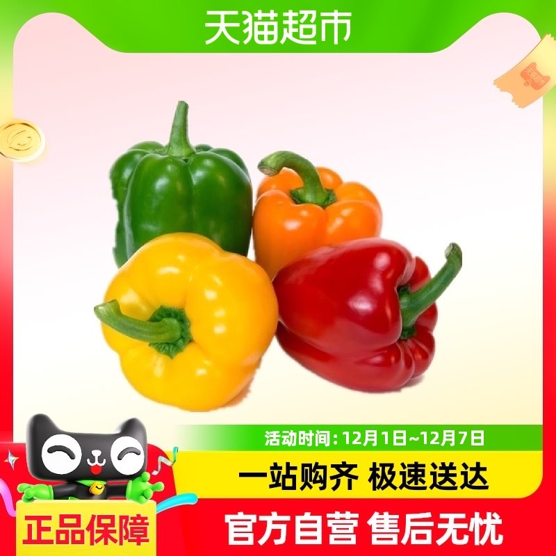 ���ʲʽ�1��3��5���߲˵������ཷ����ɫԲ����ɫ�˽����ཷ