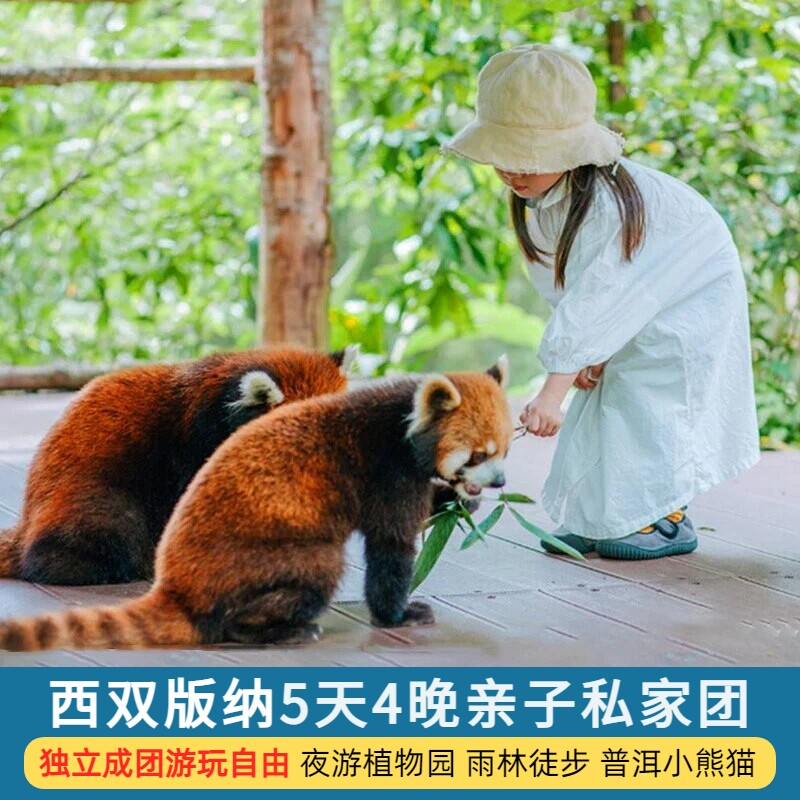 亲子纯玩西双版纳5日游