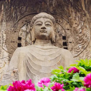 河南洛阳出发龙门石窟白马寺博物馆一日游旅游纯玩跟团游