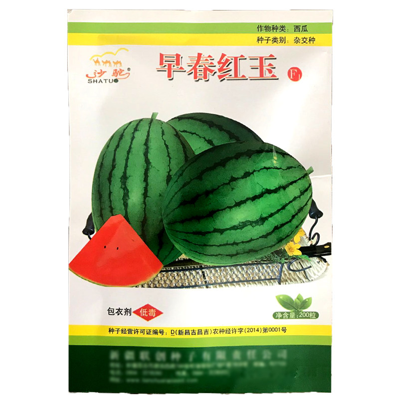 包邮早春红玉西瓜种子种籽高产早熟阳台四季盆栽超甜小西瓜种籽春