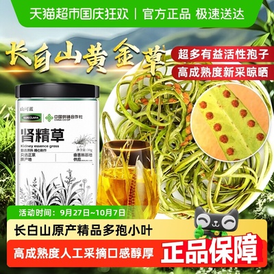 肾精草干净无杂孢子丰富黄金草